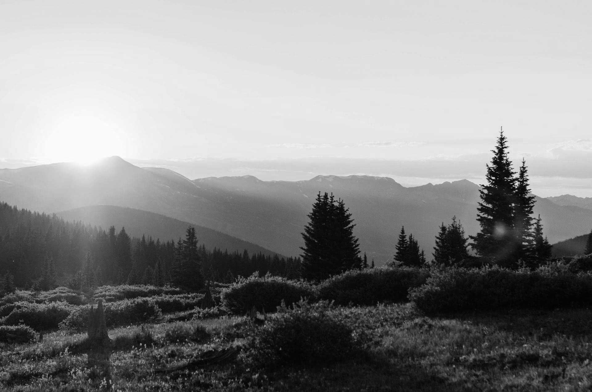 sun shining over mountain in the distance with trees in the foreground